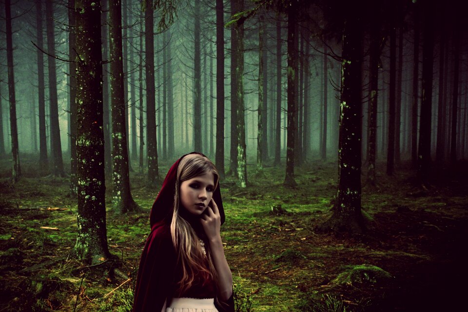 Forest fairy tale fog