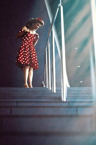 Ladder light window
