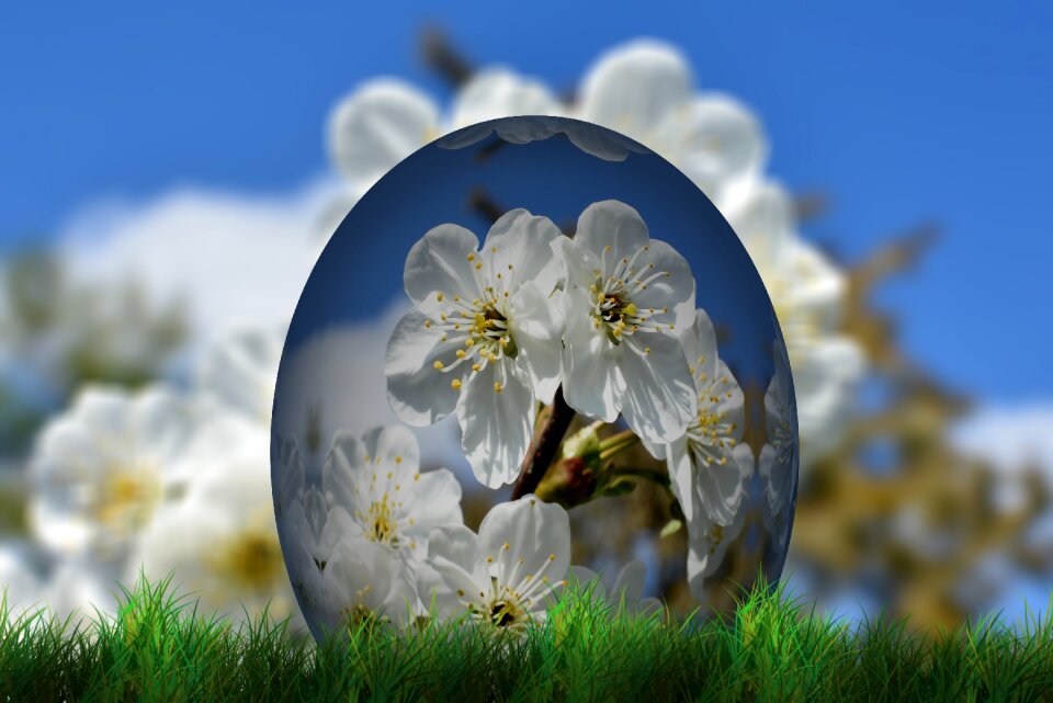 Easter decor happy easter easter greeting