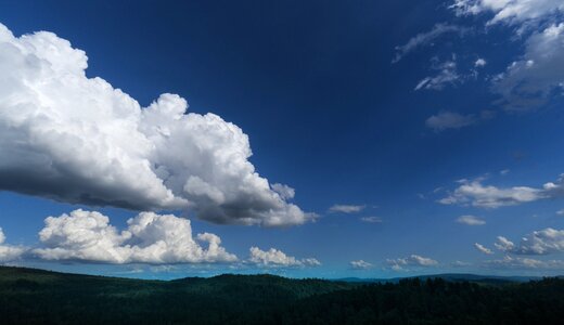 Cloud photography tree photo