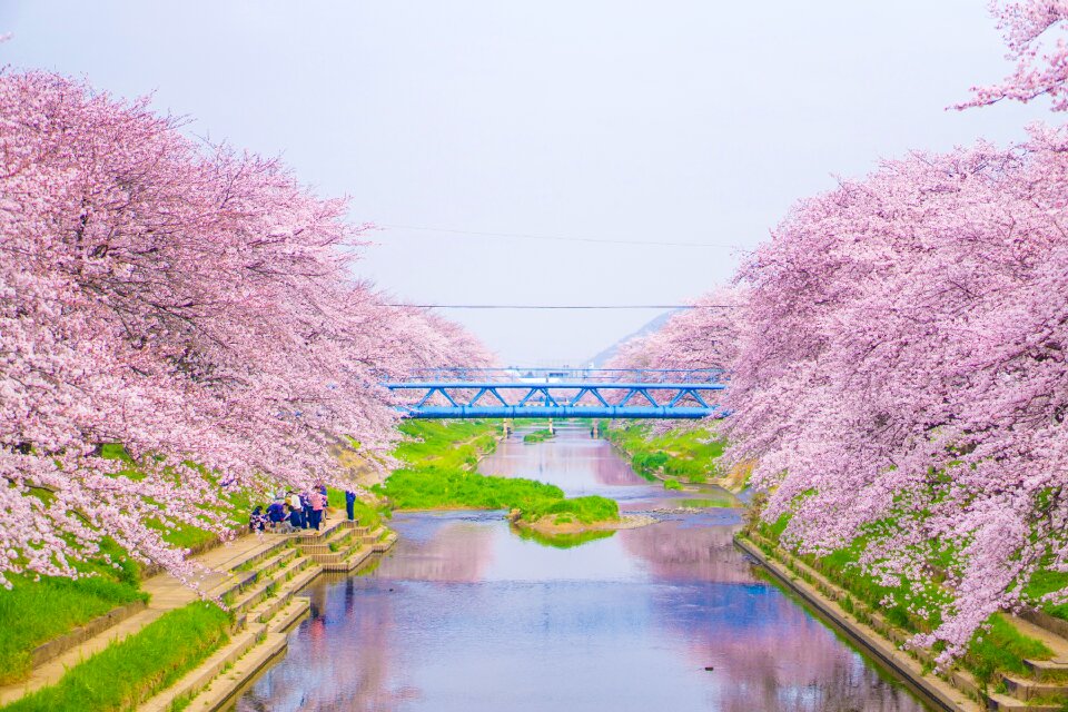 Japan green breaux bridge
