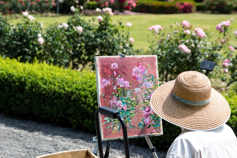 Rose artwork floral