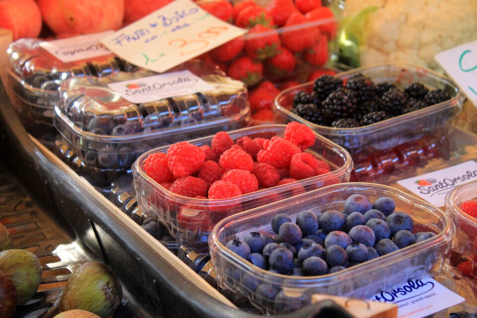 Market farmers local market venice