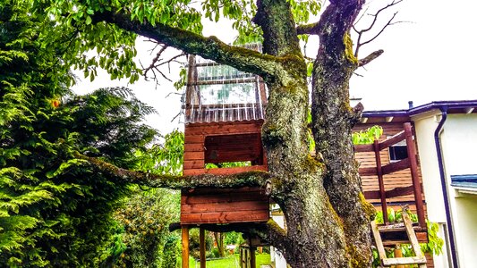 Tree hut wood play
