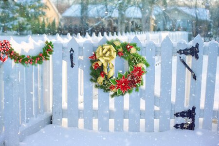 Winter christmas wreath photo
