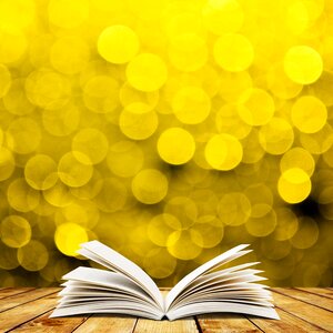 Yellow floor book