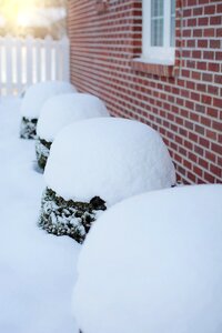 Snowfall outdoors winter photo