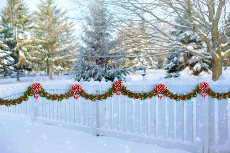 Fence winter picket