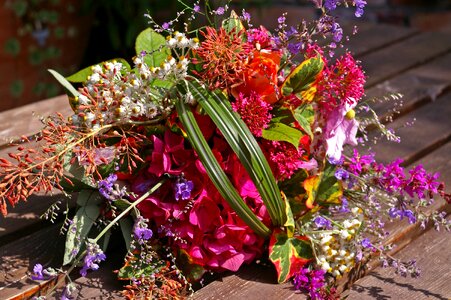 Color strauss bouquet of flowers photo