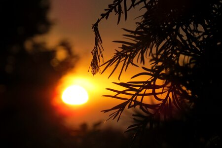 Setting sun sky romantic