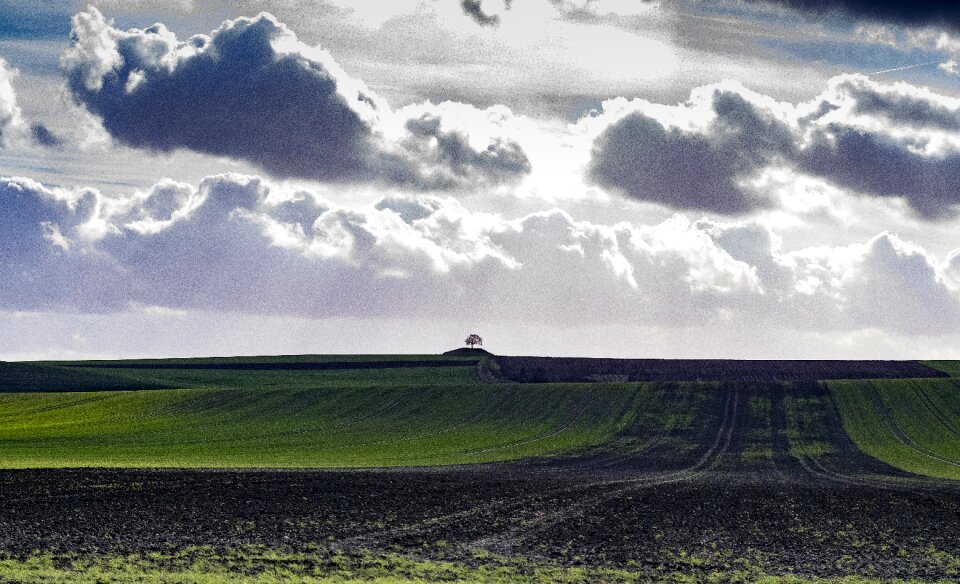 Landscape green nature