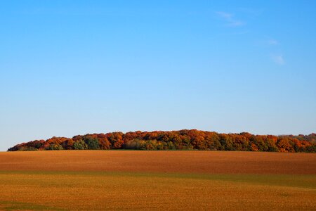 Arable red autumn forest