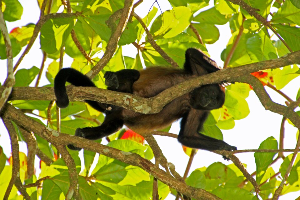Siesta lunch break climb
