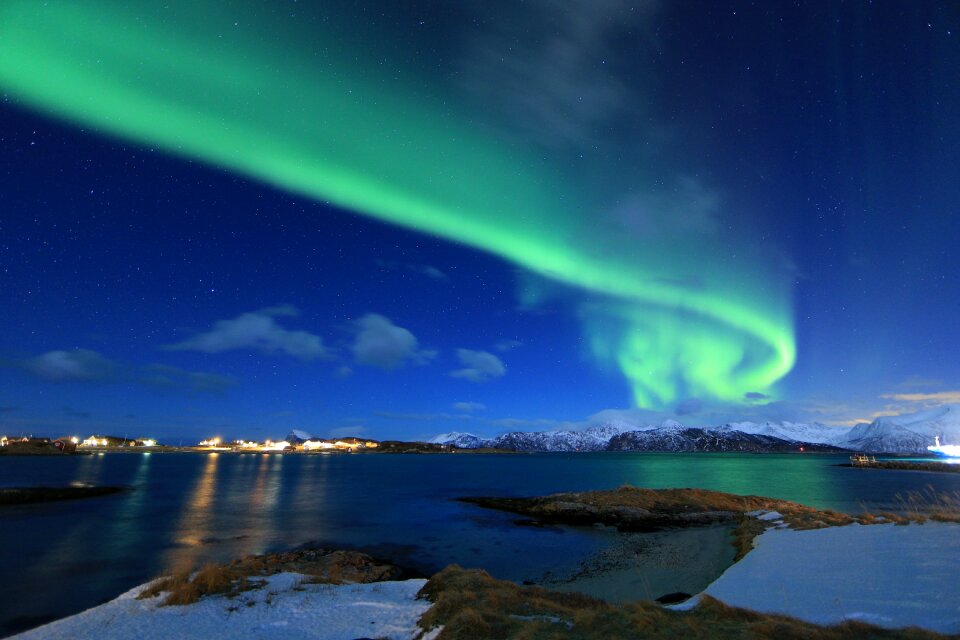 Borealis green winter