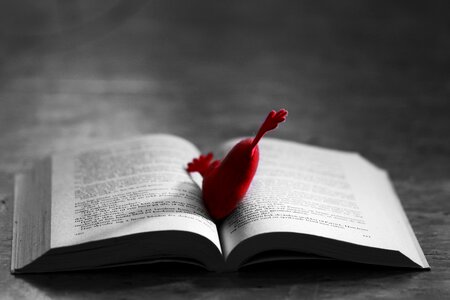 Book love red