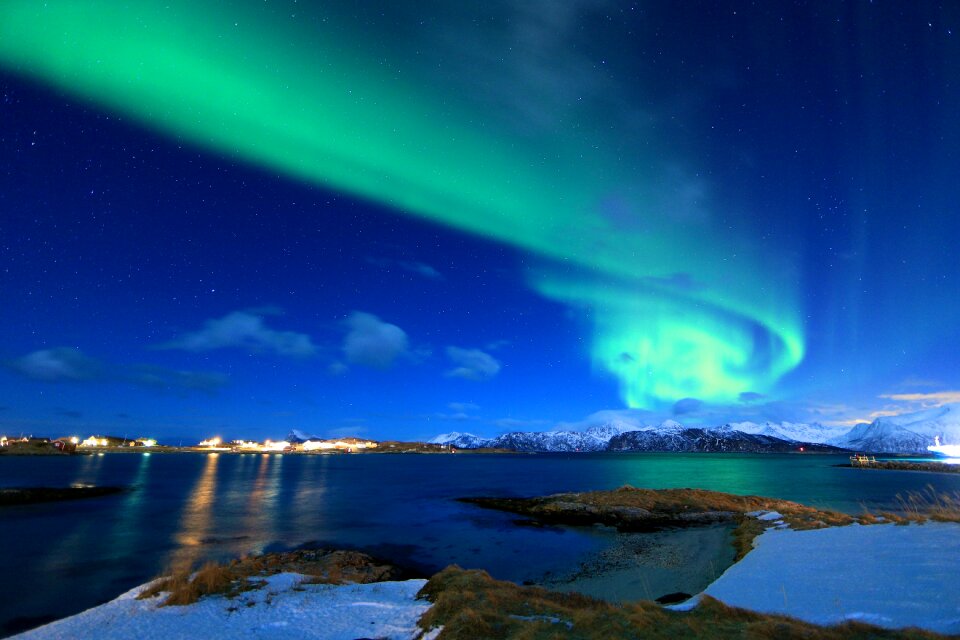 Borealis green winter