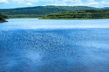 Water water surface ruffled