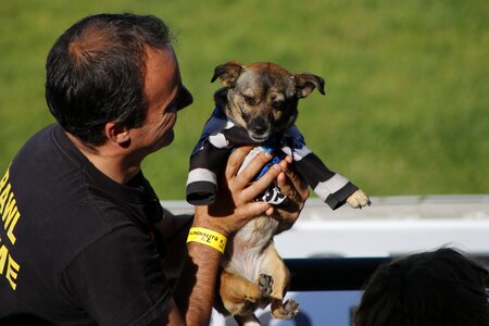 Football dog dress