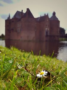 Grass nature spring