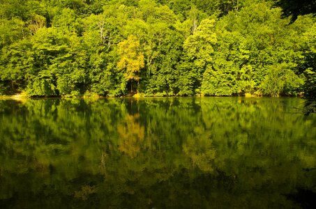 Water reflection waterfront