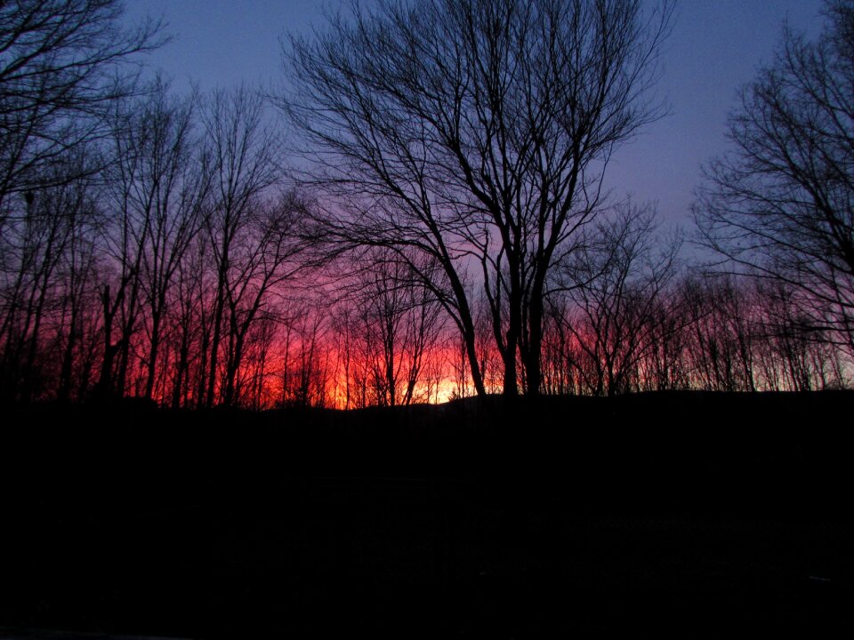 Evening landscape silhouette