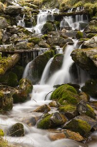 Torrent valais switzerland photo