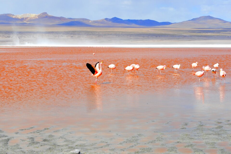 Lagoon travel andes
