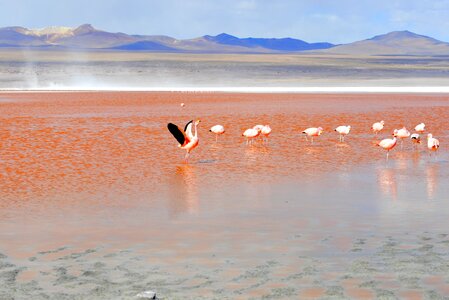Lagoon travel andes