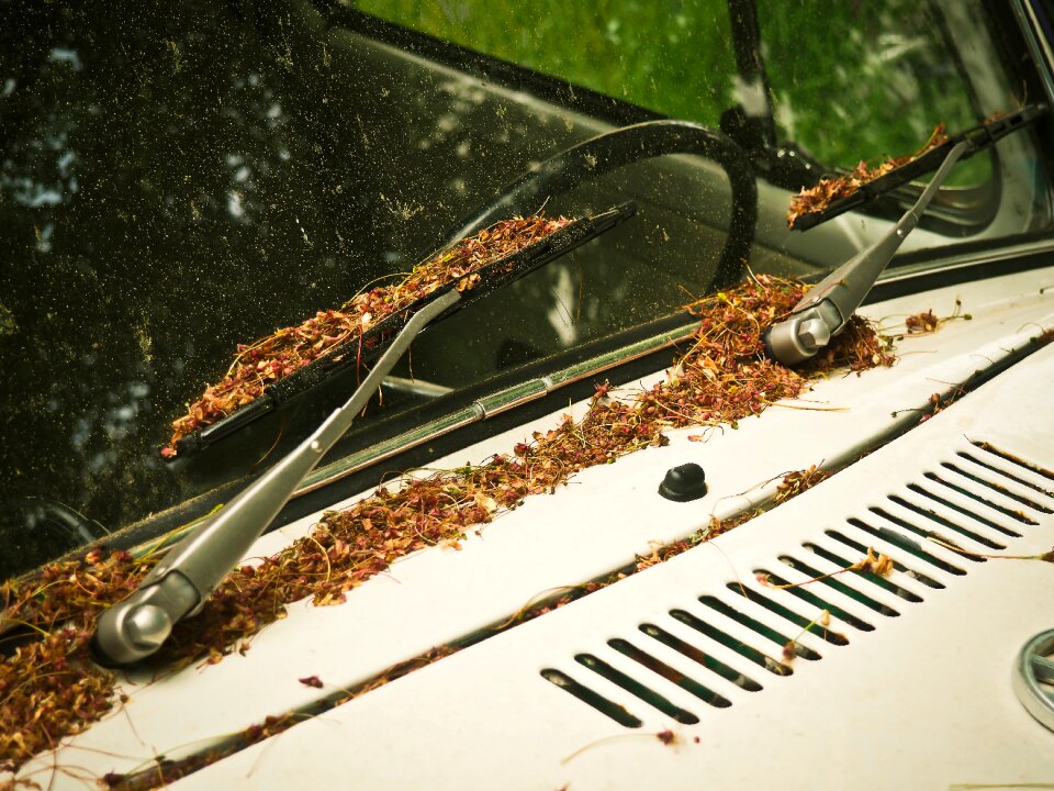 Auto detail classic old