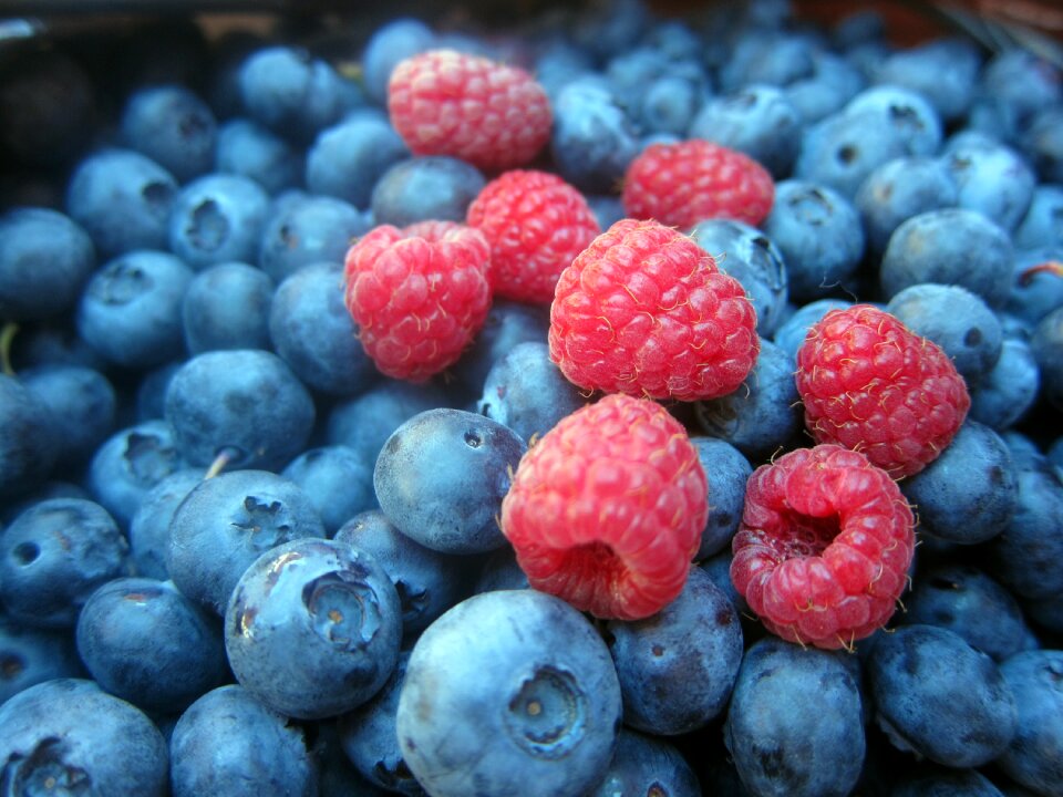 Fruit berries fruits of the forest