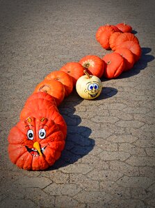 Caterpillar harvest time sale