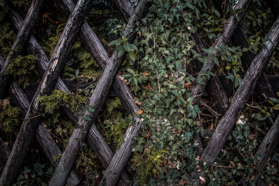 Dark green environment fence