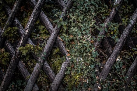 Dark green environment fence