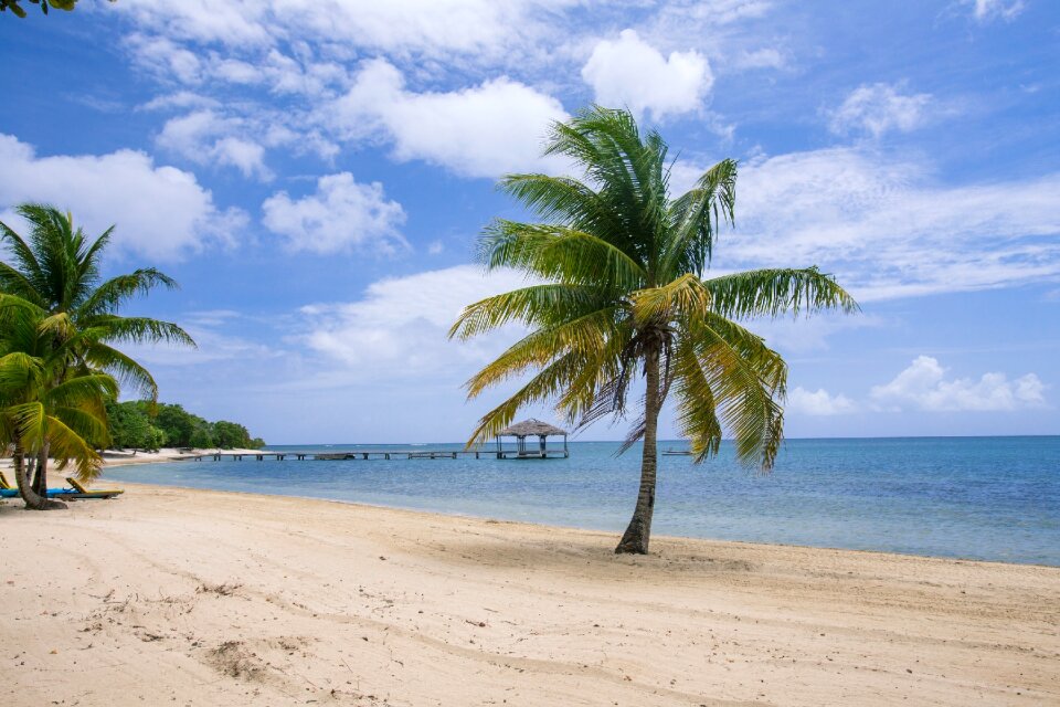 Palmetto bay caribbean beach