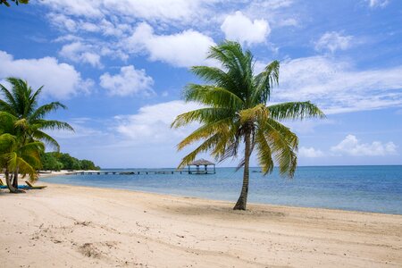 Palmetto bay caribbean beach photo