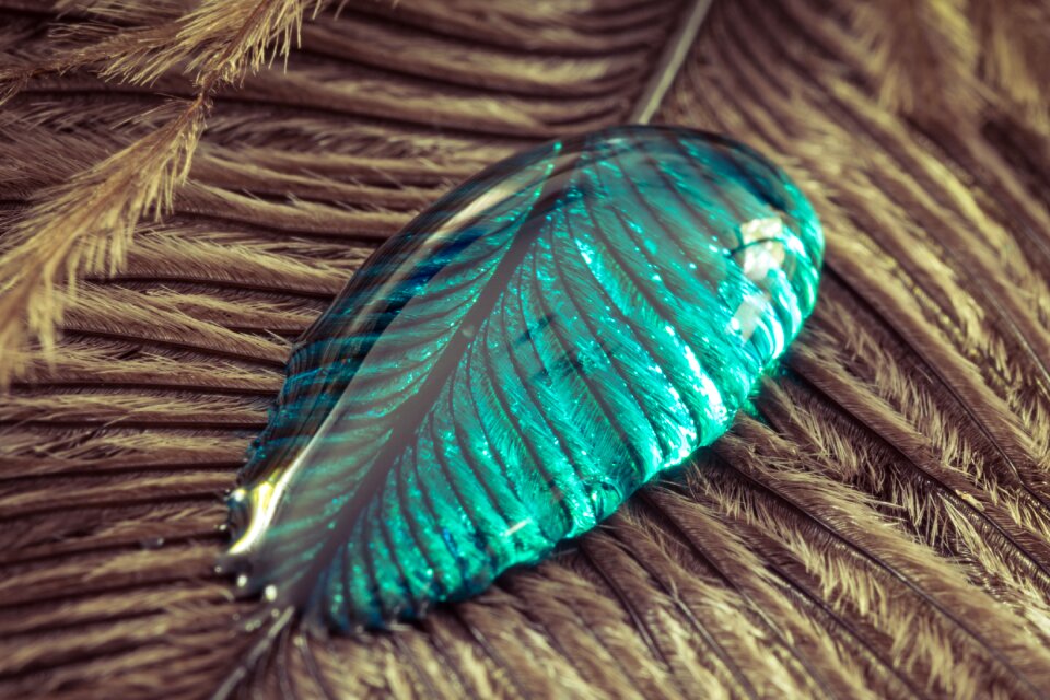 Close up macro background