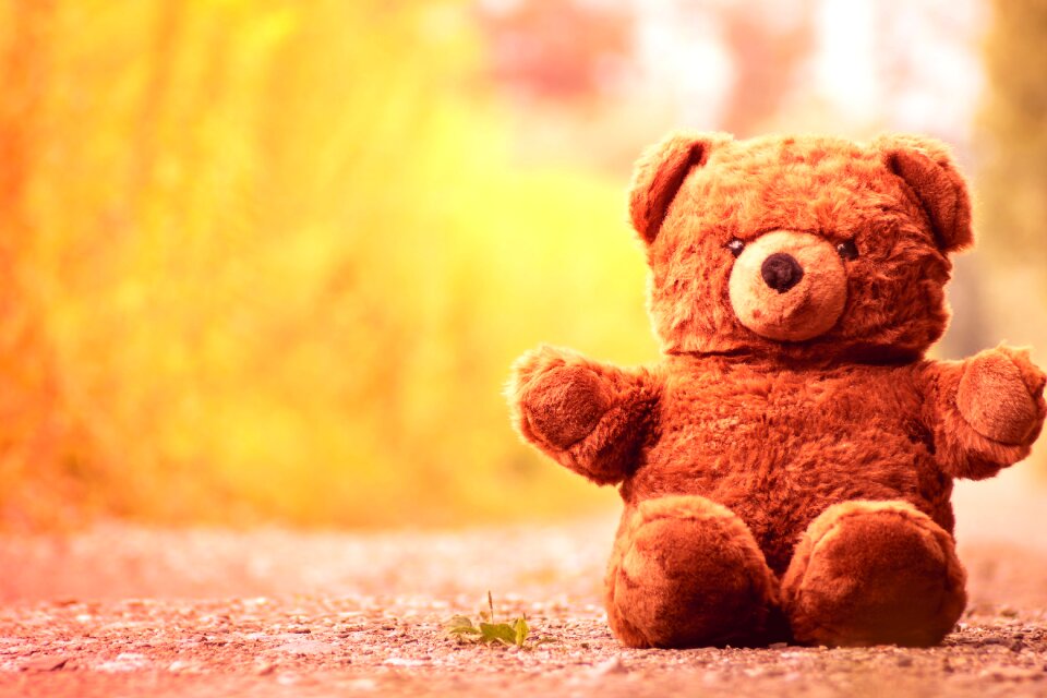 Soft toy teddy stuffed animal photo