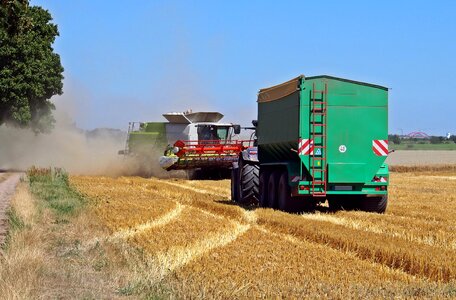 Agriculture field grain photo