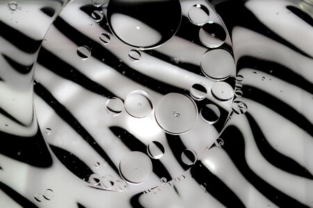 Water zebra print default