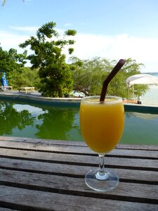 Drink holiday zen