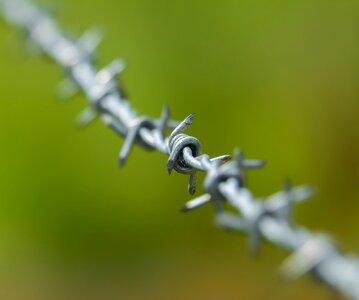 Metal wire mesh barrier photo