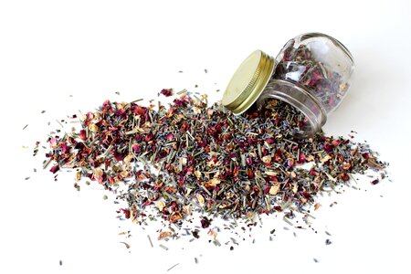 Plant herb nature