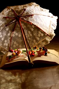 Reading flowers brown reading