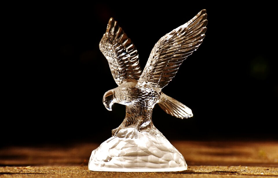 Figure bird of prey animals