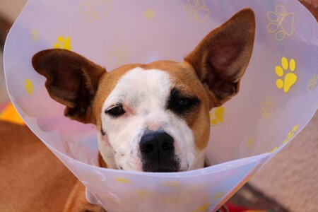 Ruff leakage protection injury