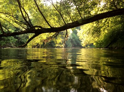 Water river bank