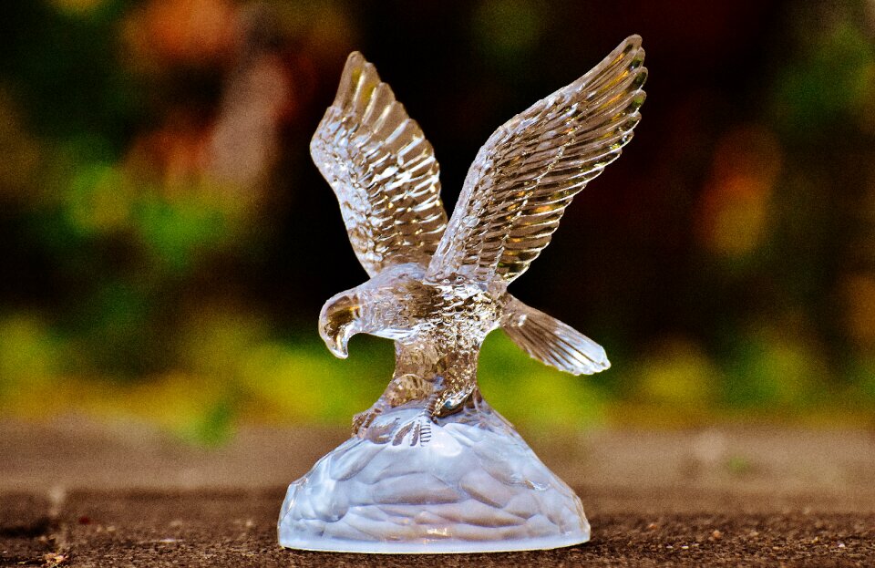 Figure bird of prey animals
