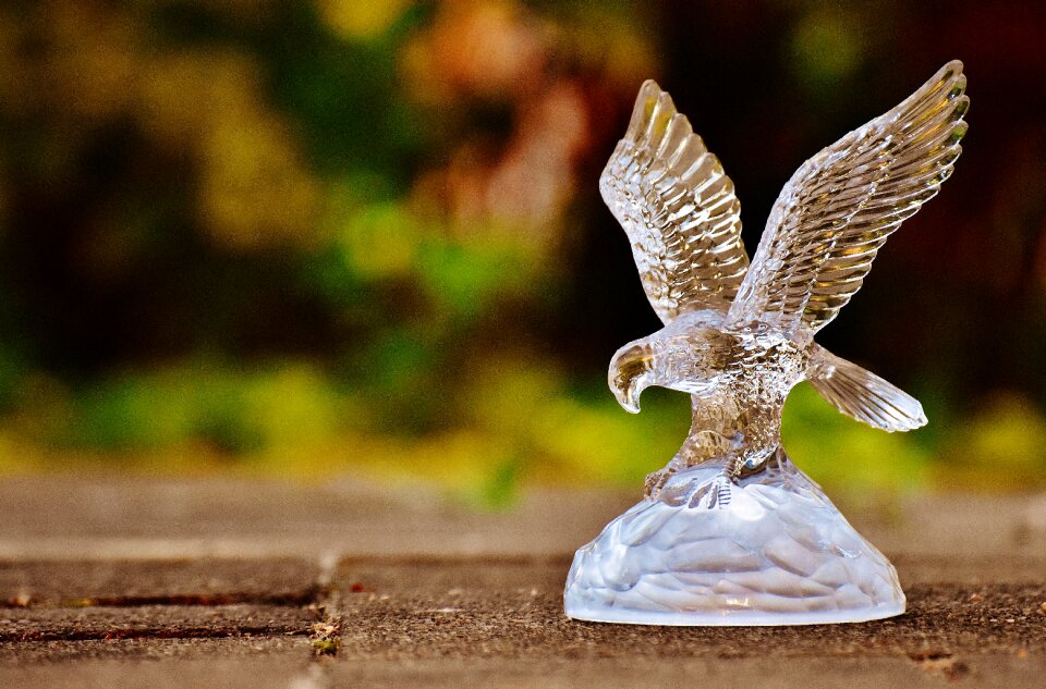 Figure bird of prey animals