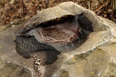 Puddle art sculpture