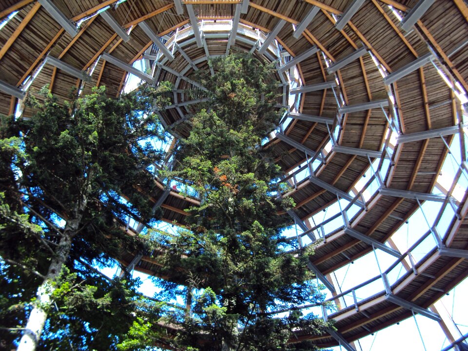 Walking path around high